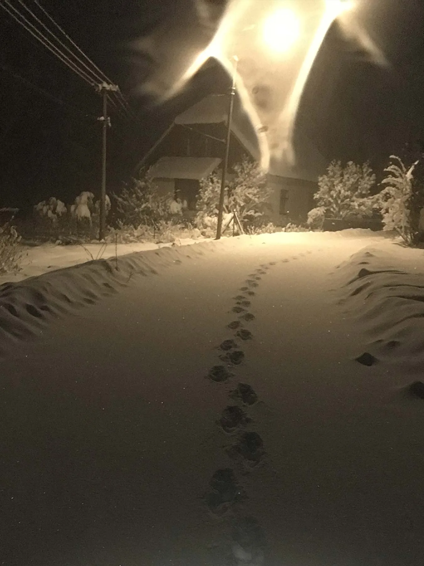 My Daily Routine for Freelancers: Silence and the first footprints in the snow - part of waking up early in the morning.